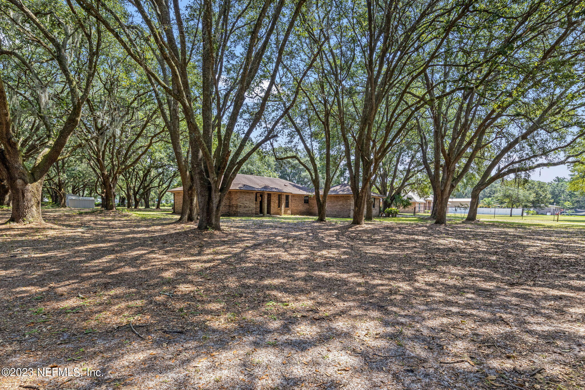 3233 Fritz Road Jacksonville, FL 32226 - Photo 5 of 43 a view of a tree in the middle of a yard
