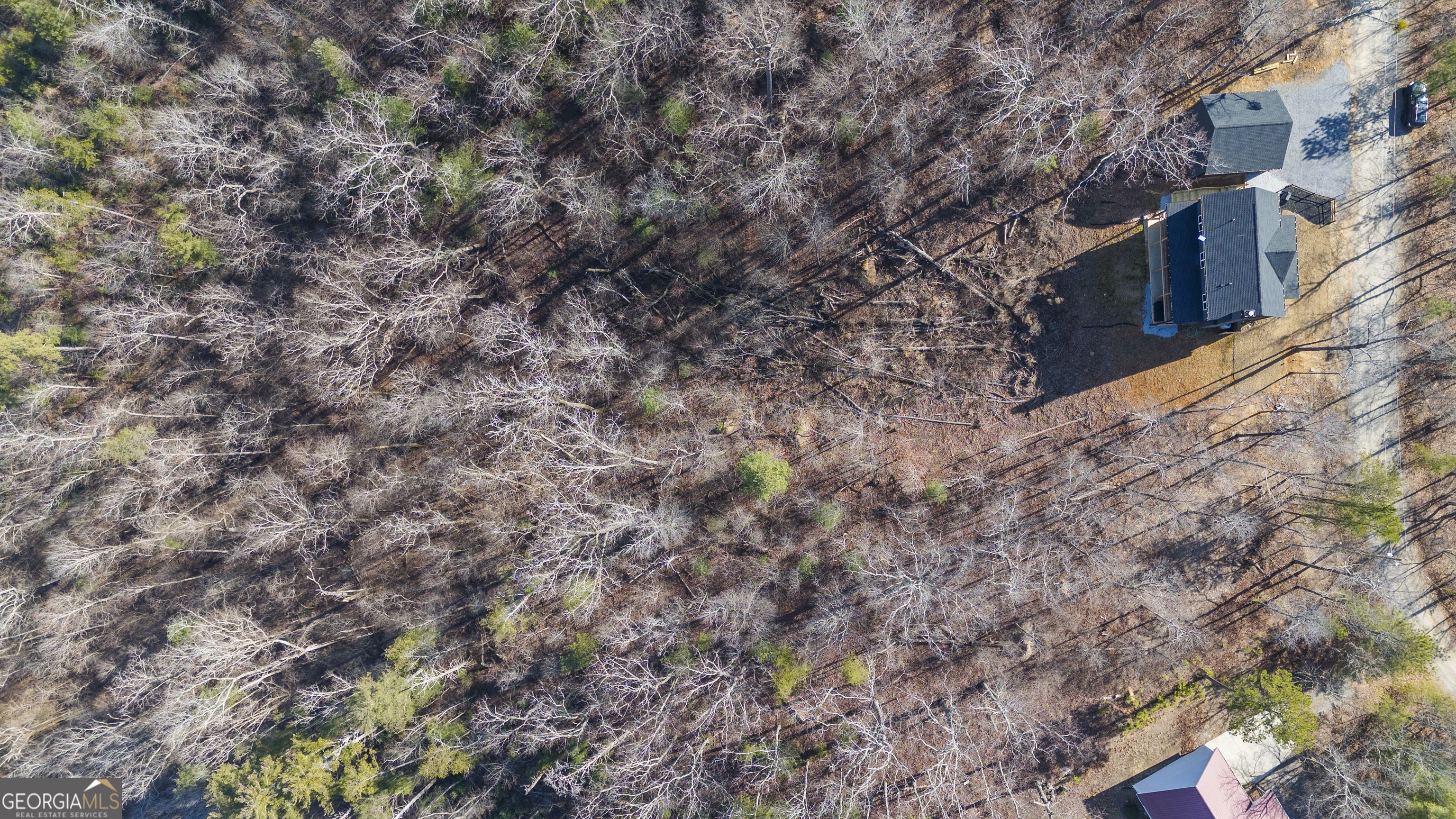 921 Aurora Lane Ranger, GA 30734 - Photo 55 of 60