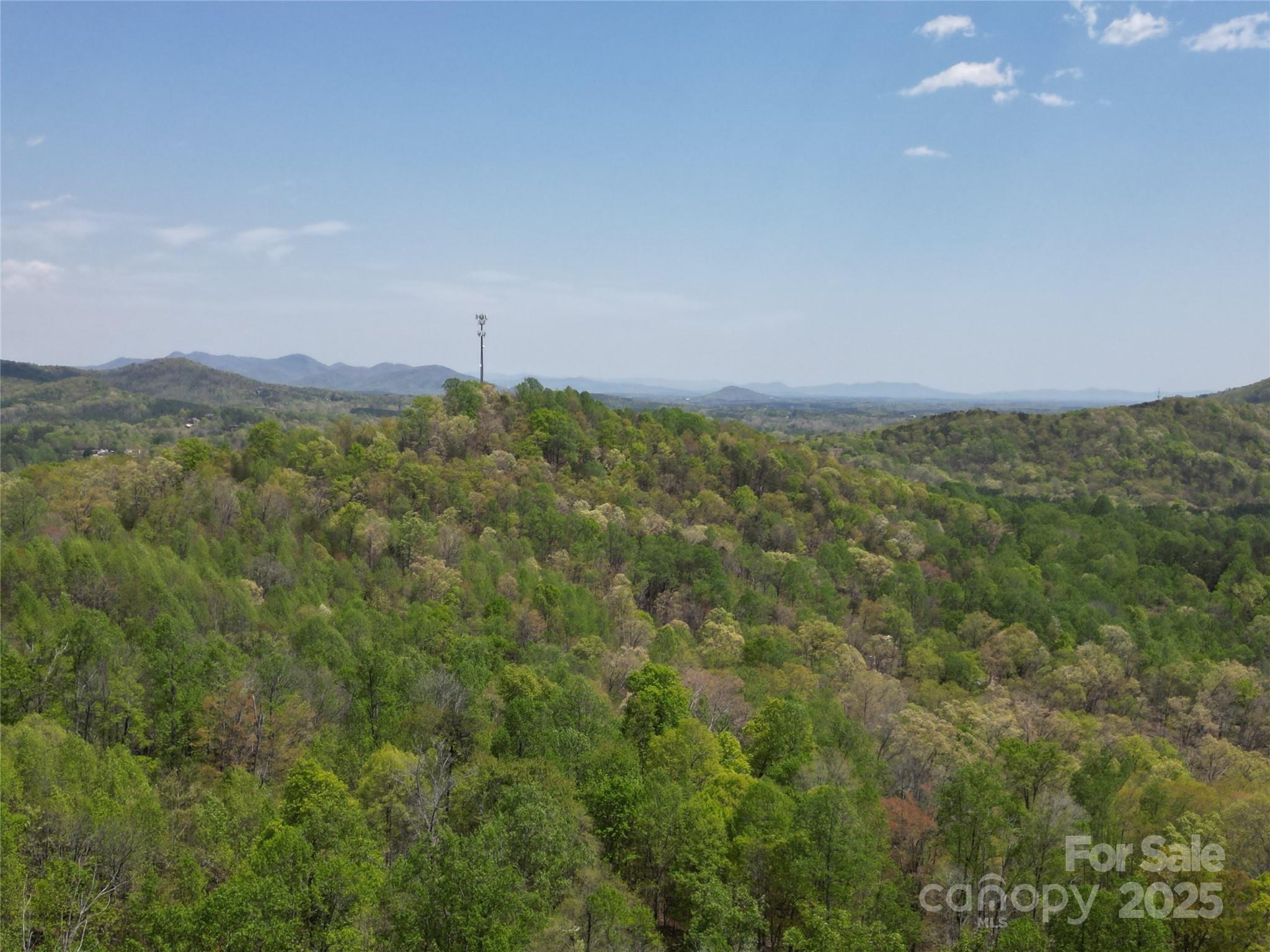 Lot 24 High Rock Ridge Lake Lure, NC 28746 - Photo 4 of 22 a view of a field with a mountain in the background