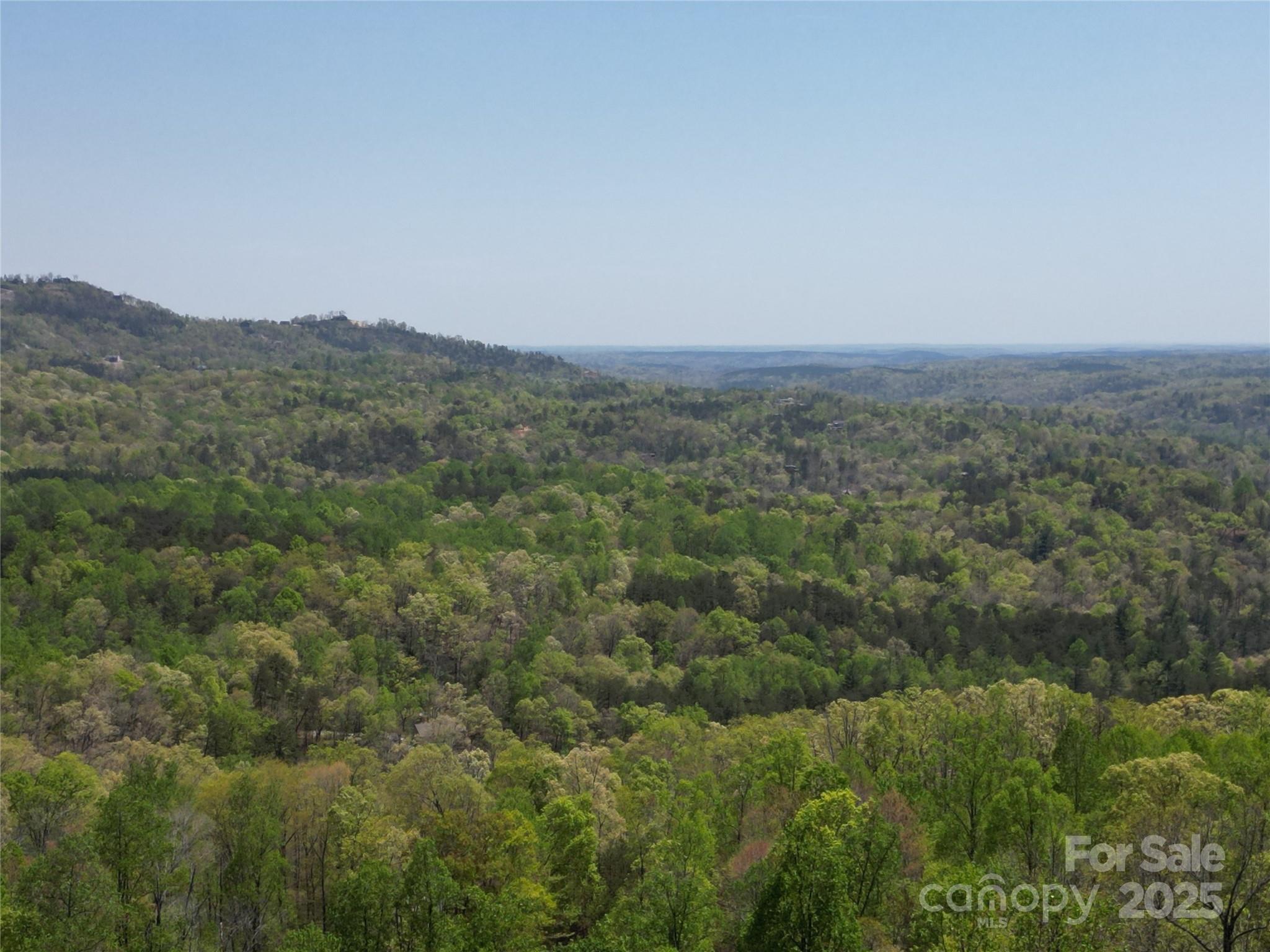 Lot 24 High Rock Ridge Lake Lure, NC 28746 - Photo 9 of 22 a view of a field of grass and trees