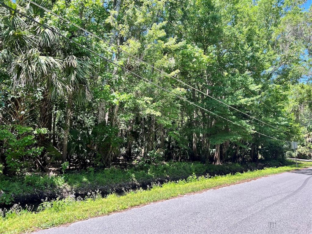 a view of outdoor space and yard