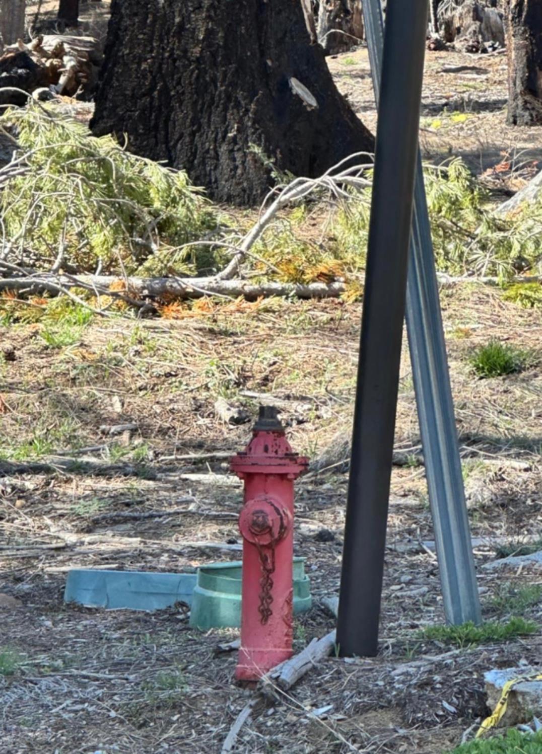 7177 Sierra Pines Road Twin Bridges, CA 95735 - Photo 11 of 23