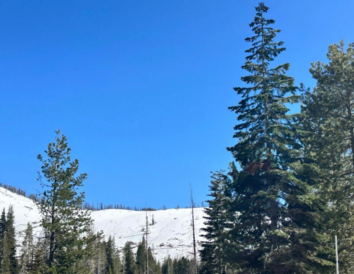 7177 Sierra Pines Road Twin Bridges, CA 95735 - Photo 14 of 23