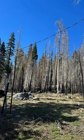 $149,000 | 7177 Sierra Pines Road, Twin Bridges, CA 95735