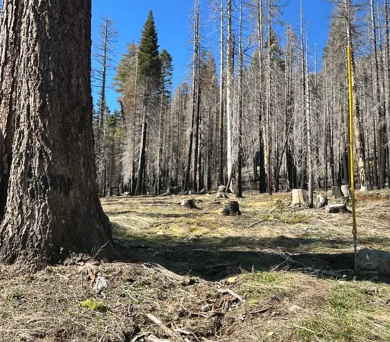 $149,000 | 7177 Sierra Pines Road, Twin Bridges, CA 95735