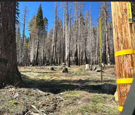 $149,000 | 7177 Sierra Pines Road, Twin Bridges, CA 95735