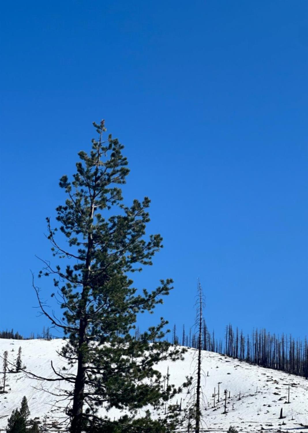 7177 Sierra Pines Road Twin Bridges, CA 95735 - Photo 21 of 23