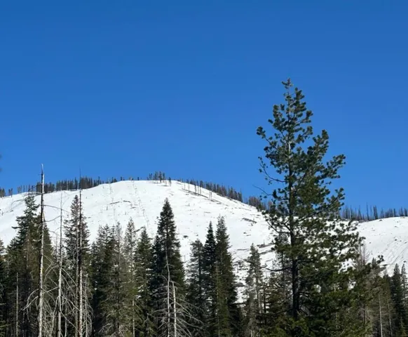 $149,000 | 7177 Sierra Pines Road, Twin Bridges, CA 95735