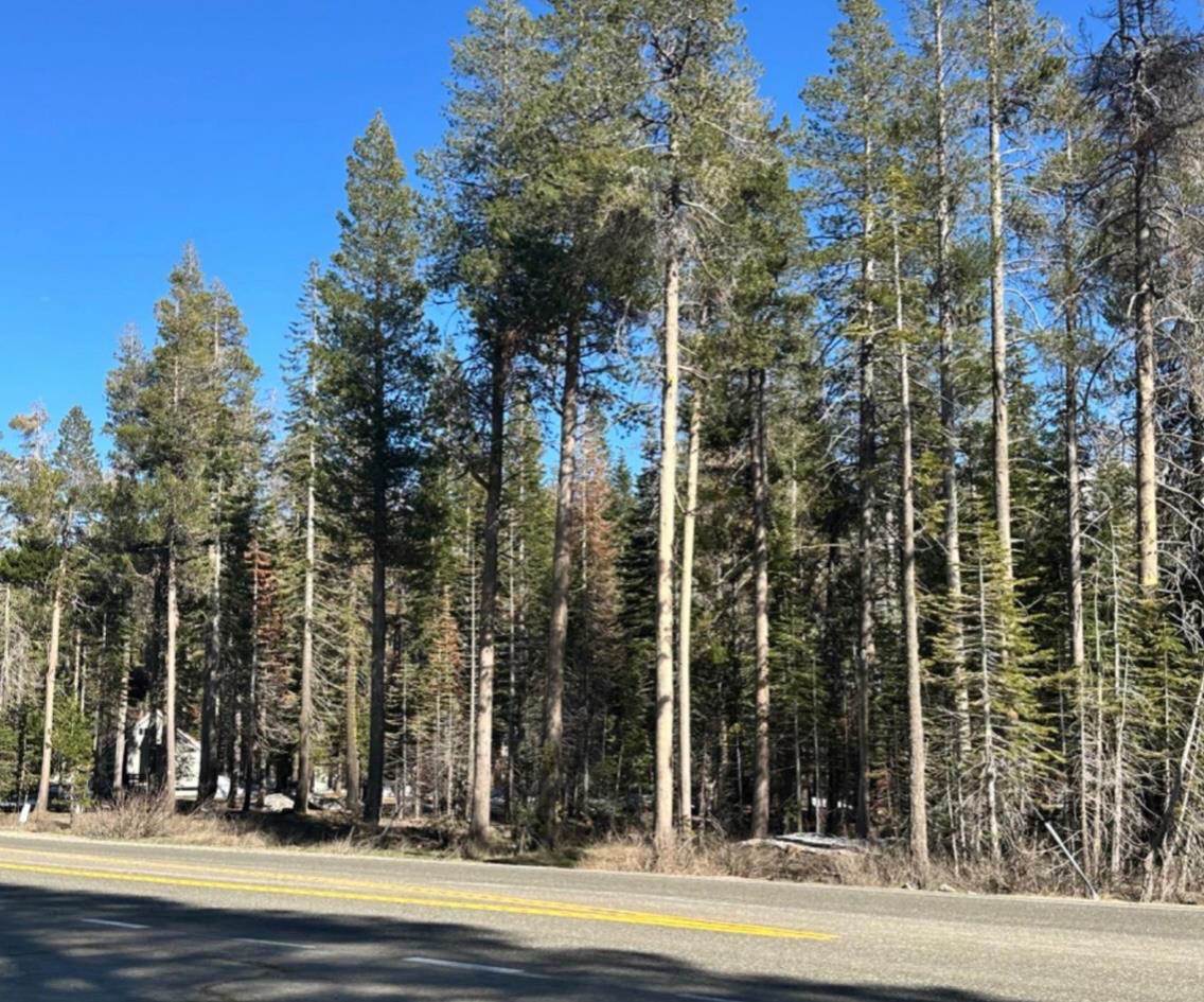 7177 Sierra Pines Road Twin Bridges, CA 95735 - Photo 3 of 23