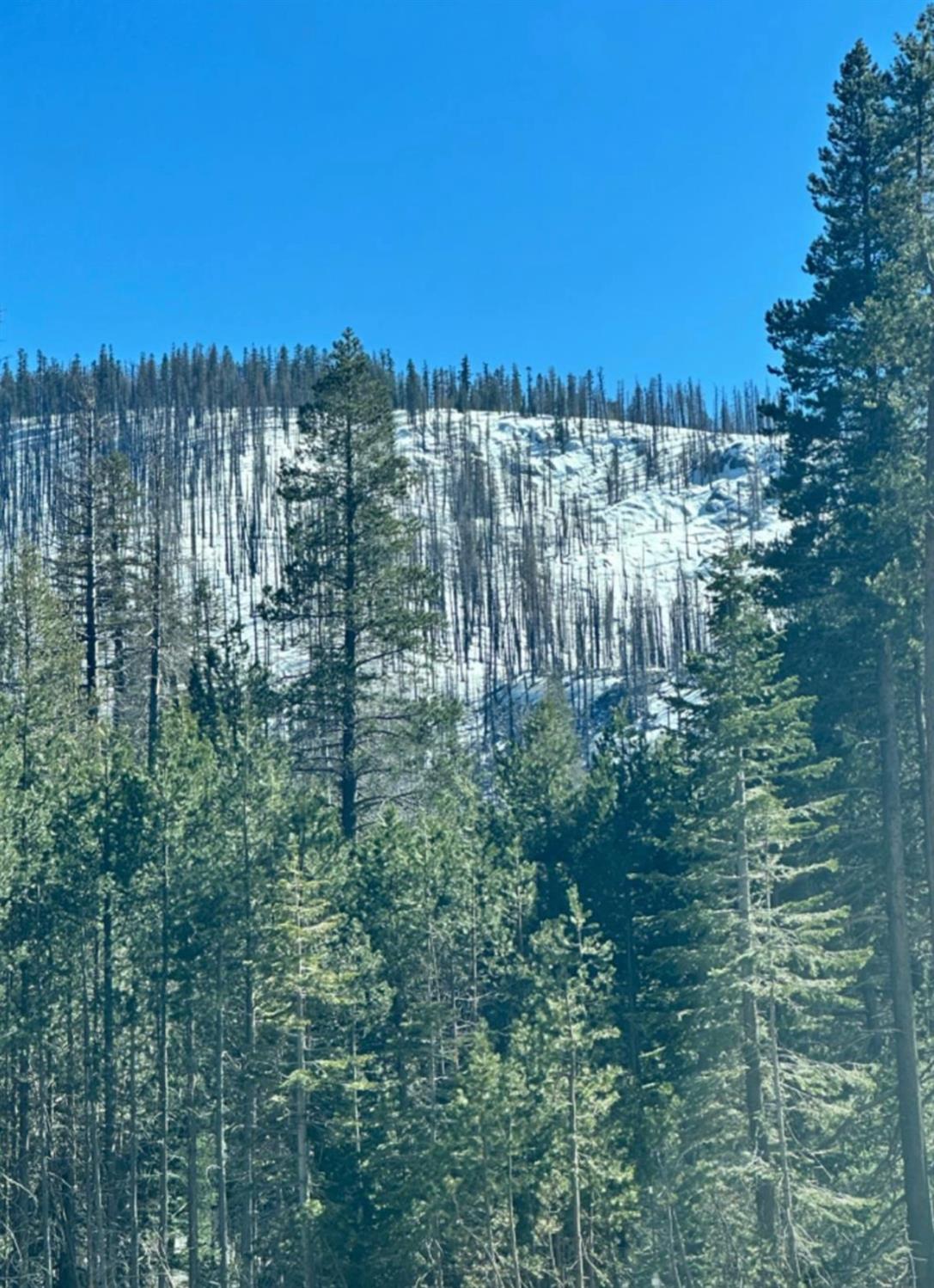 7177 Sierra Pines Road Twin Bridges, CA 95735 - Photo 6 of 23