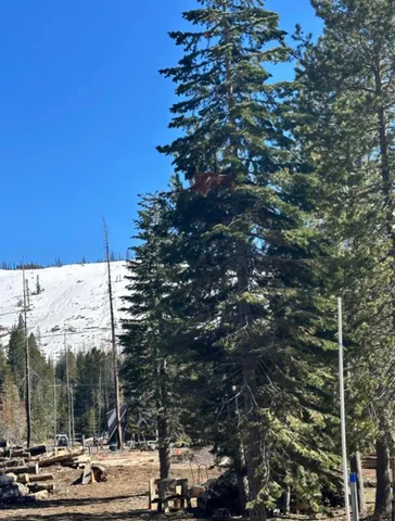 $149,000 | 7177 Sierra Pines Road, Twin Bridges, CA 95735