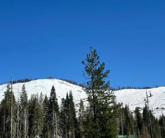 $149,000 | 7177 Sierra Pines Road, Twin Bridges, CA 95735