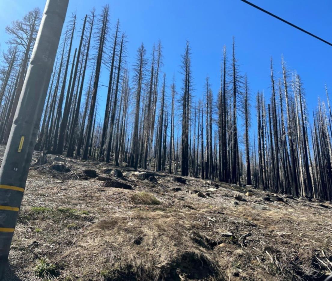 7177 Sierra Pines Road Twin Bridges, CA 95735 - Photo 10 of 23