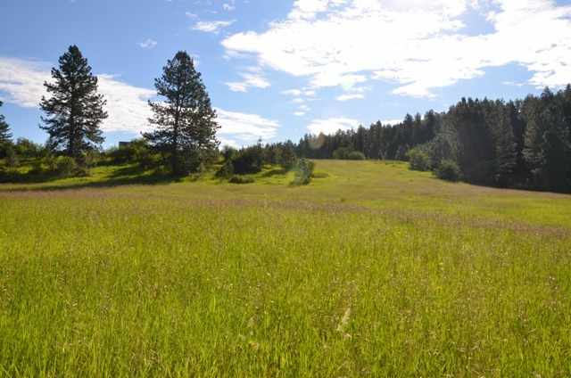 16600 North Day Mt Spokane Road Mead, WA 99021 - Photo 1 of 4