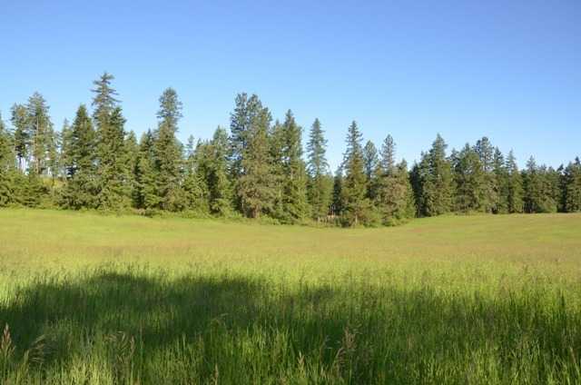 16600 North Day Mt Spokane Road Mead, WA 99021 - Photo 2 of 4