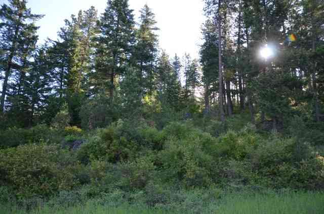 16600 North Day Mt Spokane Road Mead, WA 99021 - Photo 3 of 4