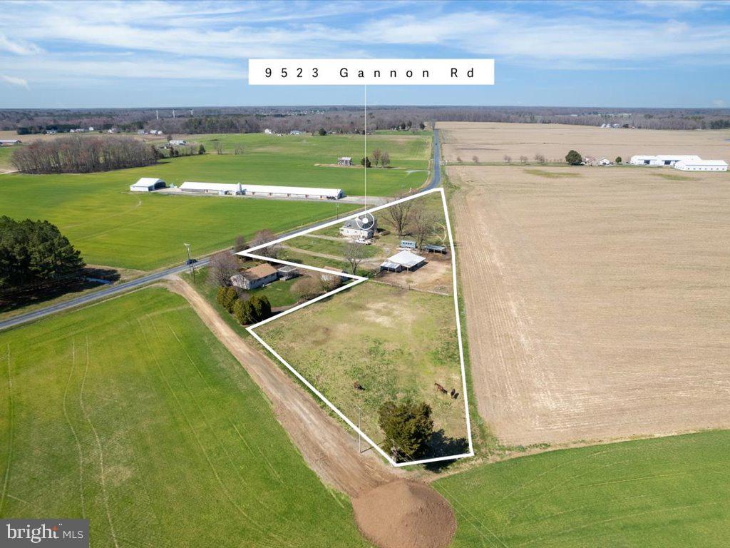 9523 Gannon Road Easton, MD 21601 - Photo 2 of 51 Gallery Image 2