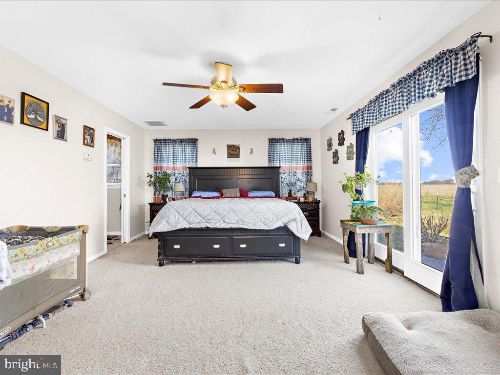 9523 Gannon Road Easton, MD 21601 - Photo 23 of 51 Gallery Image 23