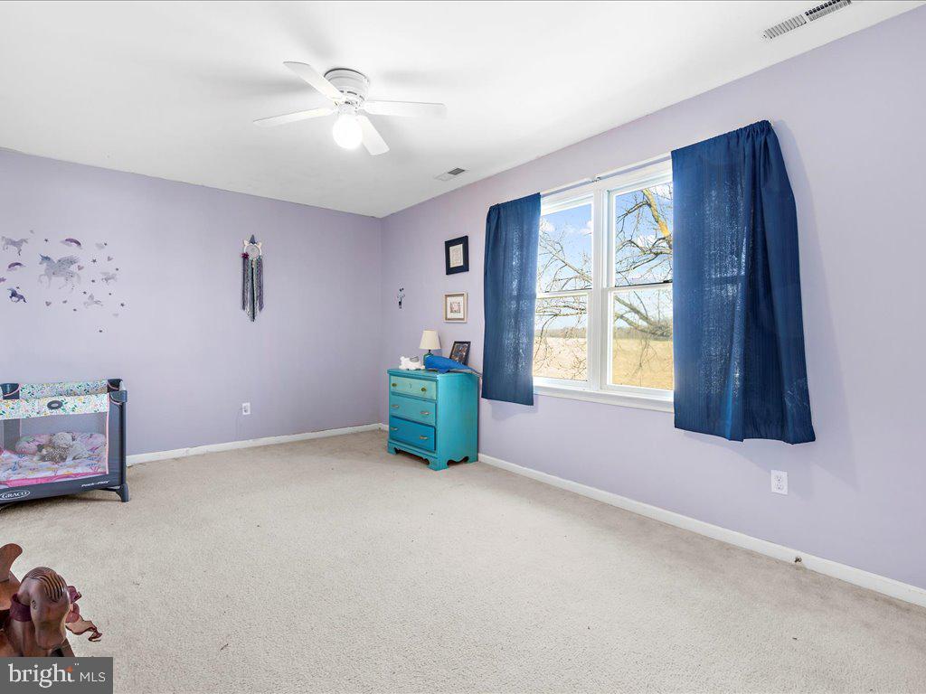 9523 Gannon Road Easton, MD 21601 - Photo 32 of 51 Gallery Image 32