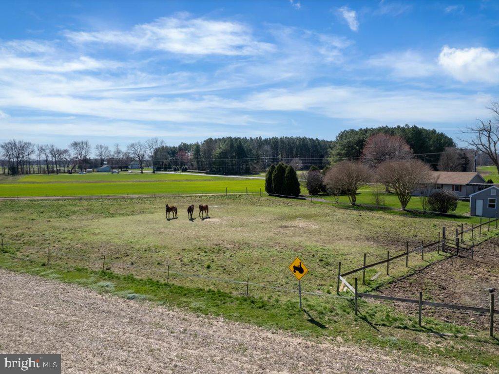 9523 Gannon Road Easton, MD 21601 - Photo 42 of 51 Gallery Image 42