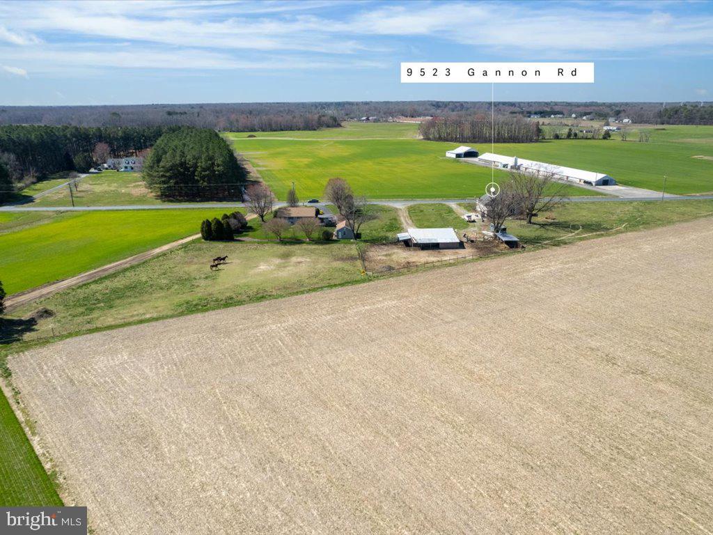 9523 Gannon Road Easton, MD 21601 - Photo 44 of 51 Gallery Image 44
