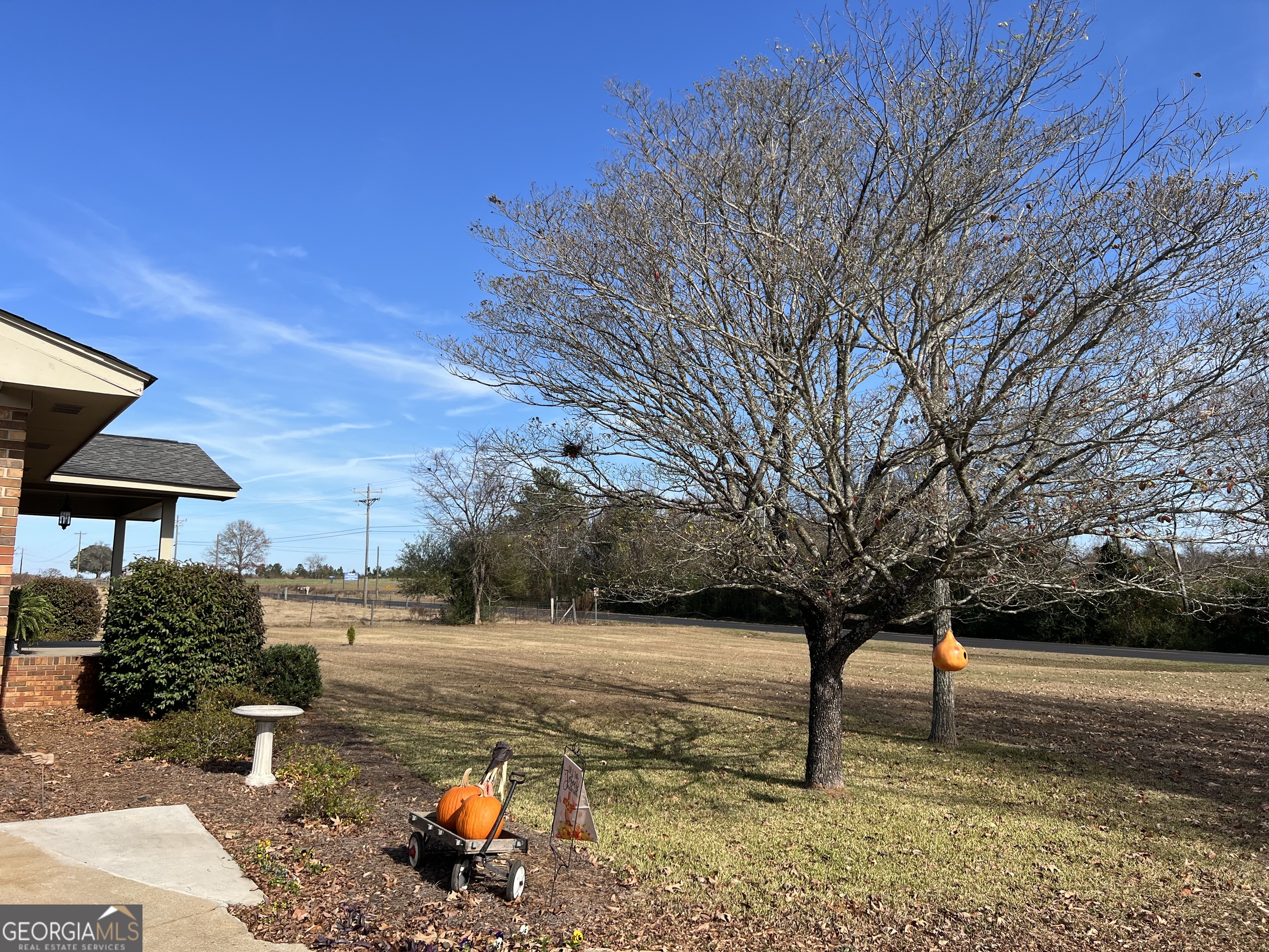 1512 Buckeye Road East Dublin, GA 31027 - Photo 42 of 45 a street view with large trees