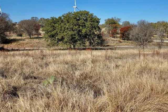 a view of a dry yard with wooden fence and plants