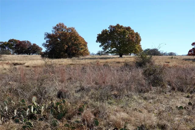 a view of a yard with a tree