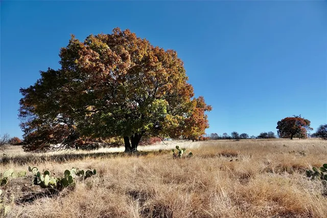 a view of a snow in the middle of a yard
