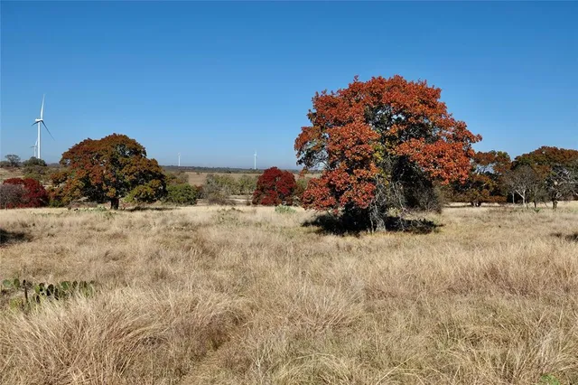 a view of a dry yard with a barn in the background