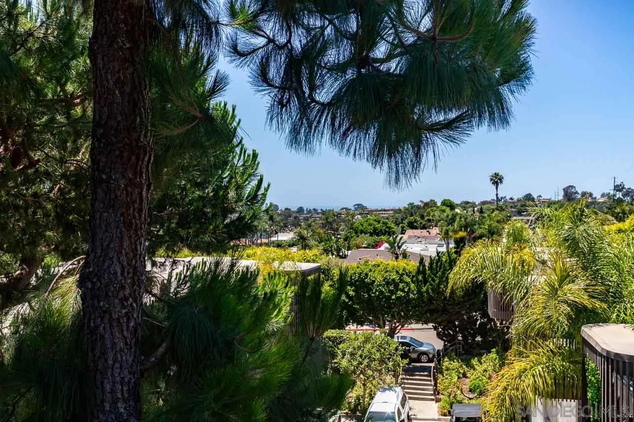 155 Rosebay Drive, Unit 28 Encinitas, CA 92024 - Photo 15 of 23 a view of a garden