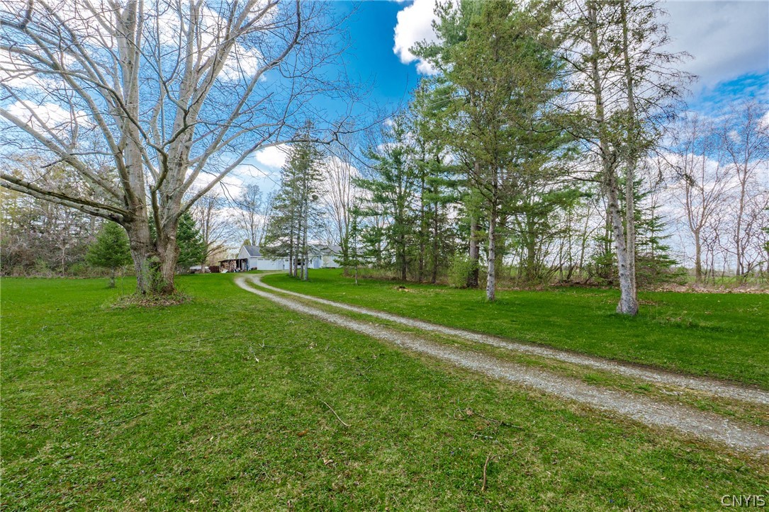 4111 Watervale Road Manlius, NY 13104 - Photo 33 of 48