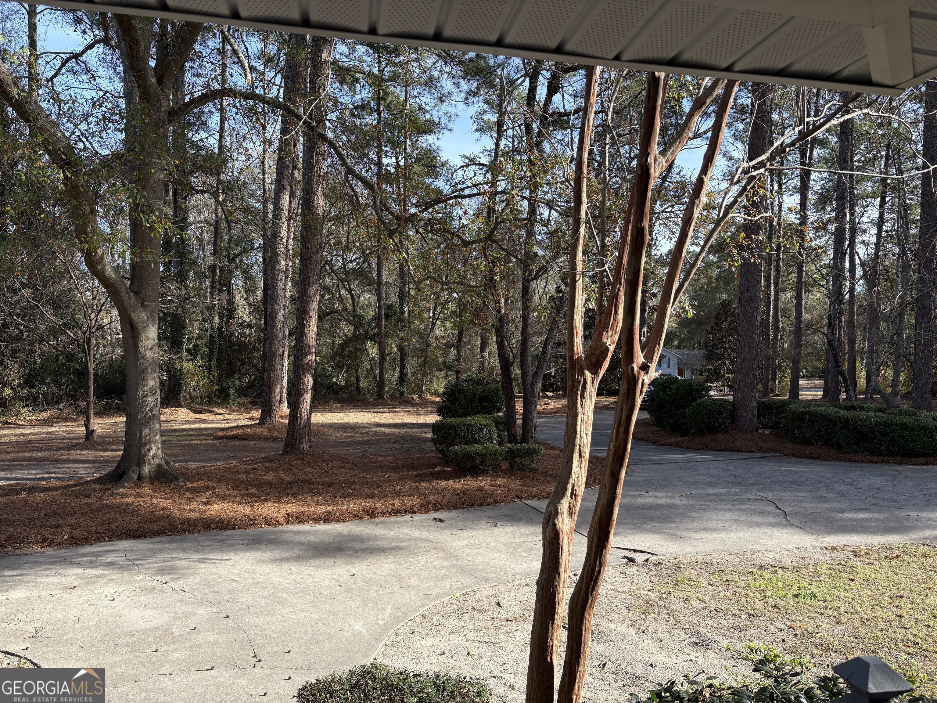 502 Payne Place Dublin, GA 31021 - Photo 9 of 61 a view of a yard with plants and trees