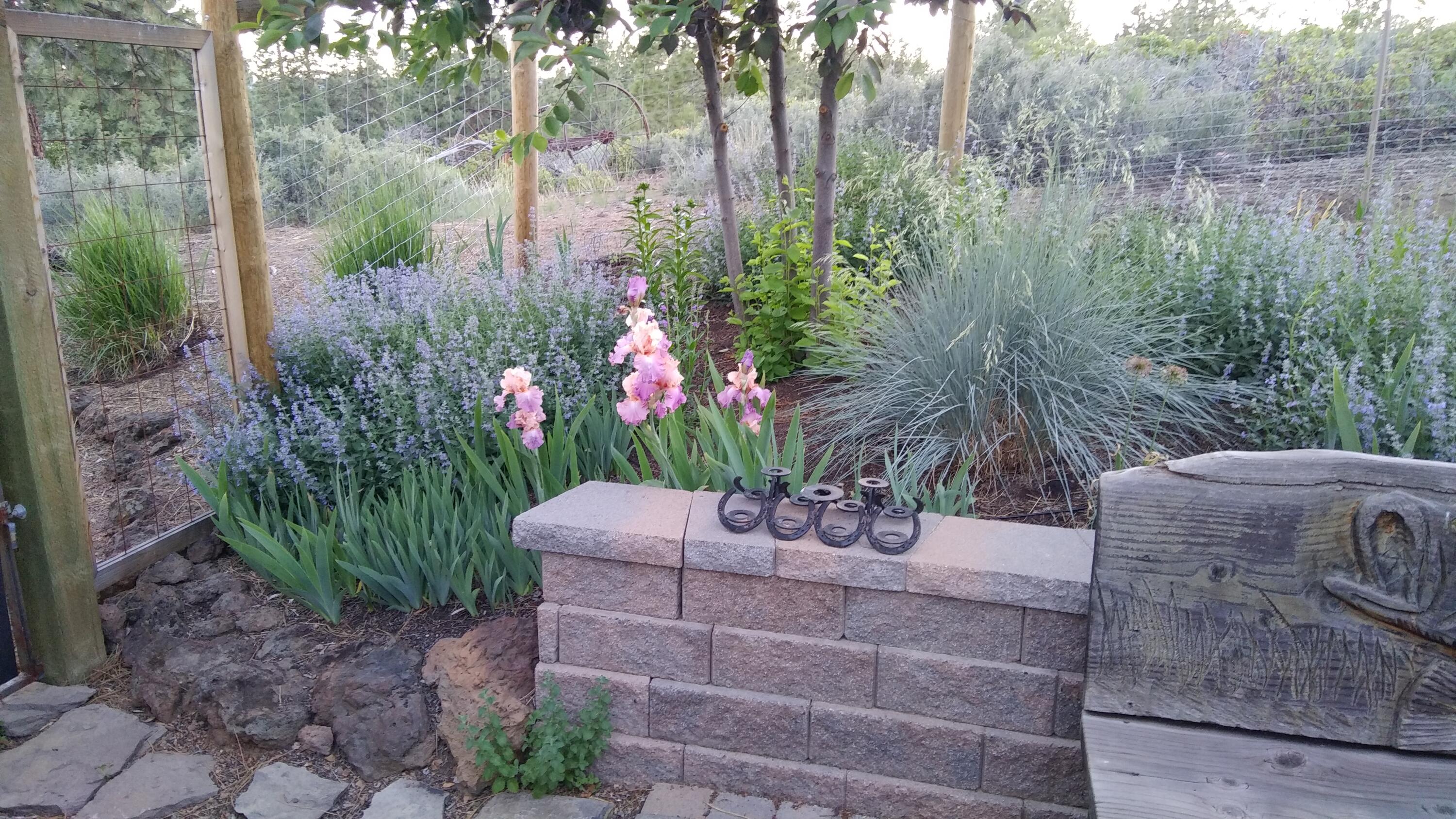19088 Pumice Butte Road Bend, OR 97702 - Photo 37 of 39 Back patio West side in Spring