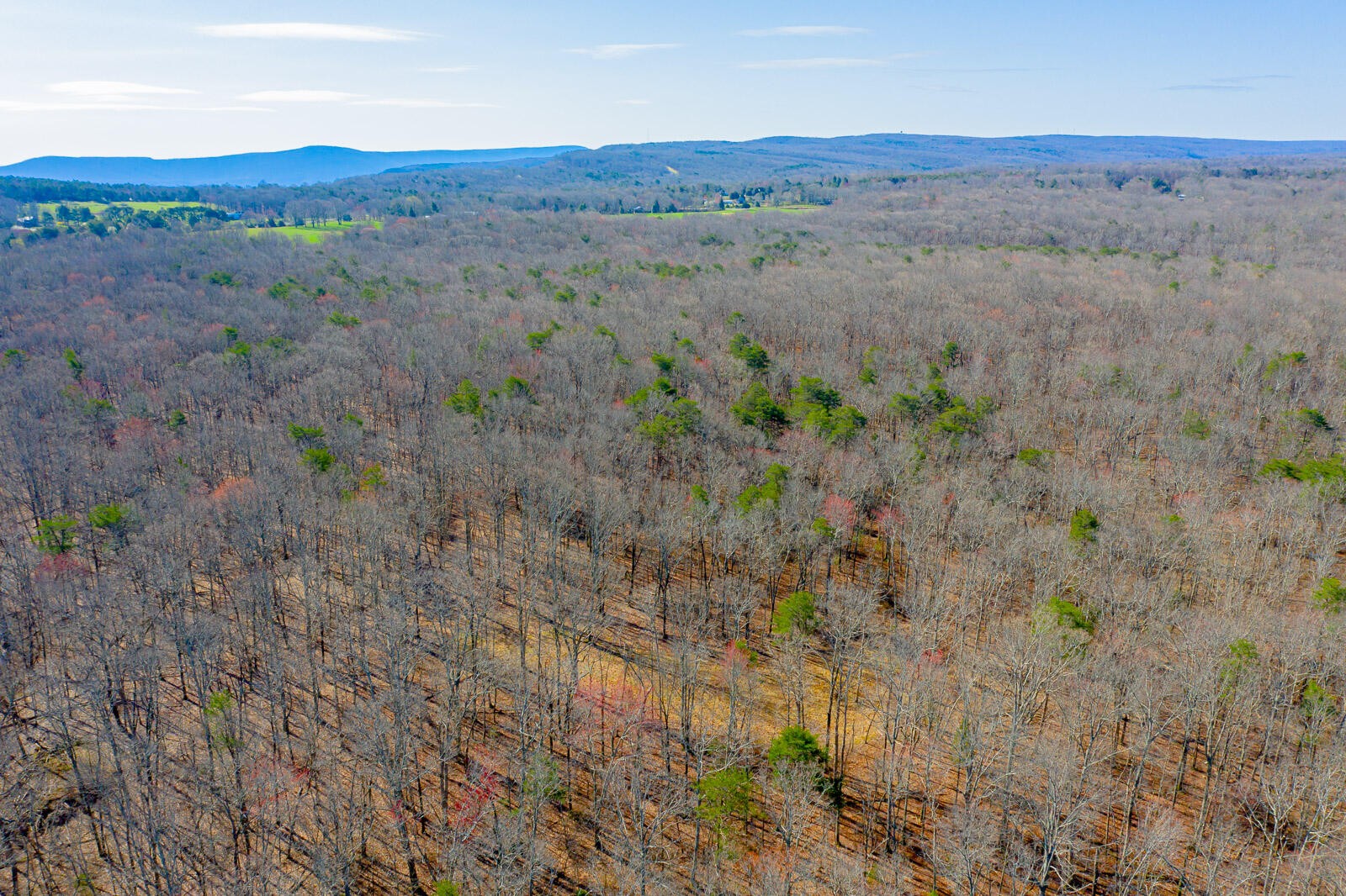 0 Moore North Road Rising Fawn, GA 30738 - Photo 19 of 20 Gallery Image 19