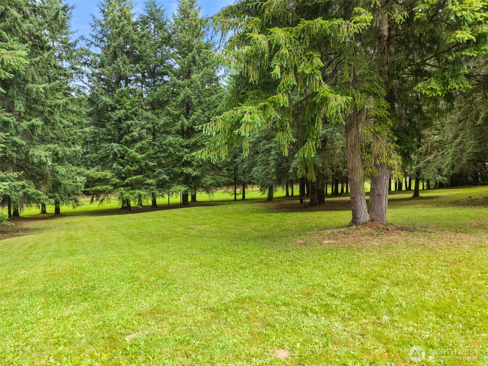251 John Road Chehalis, WA 98532 - Photo 33 of 39
