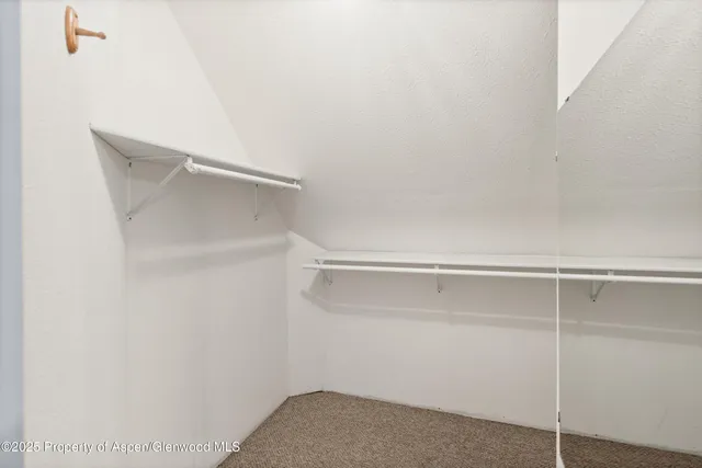 a view of an empty walk in closet