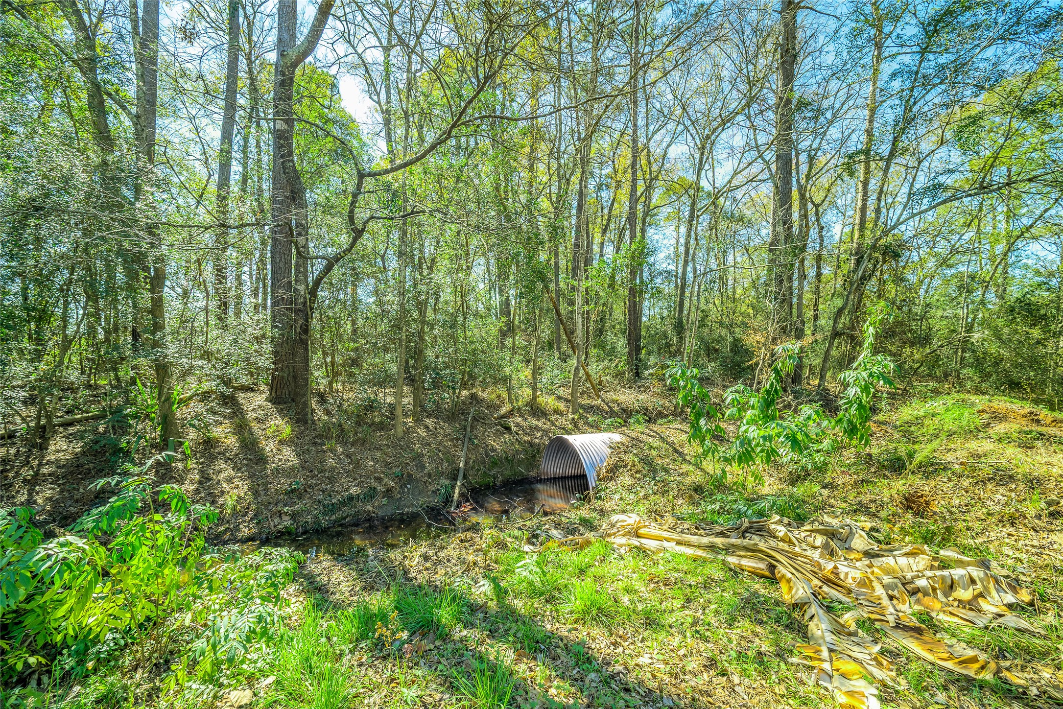 26 Holly Springs Drive Conroe, TX 77302 - Photo 15 of 32 a view of a backyard with fountain plants and large trees