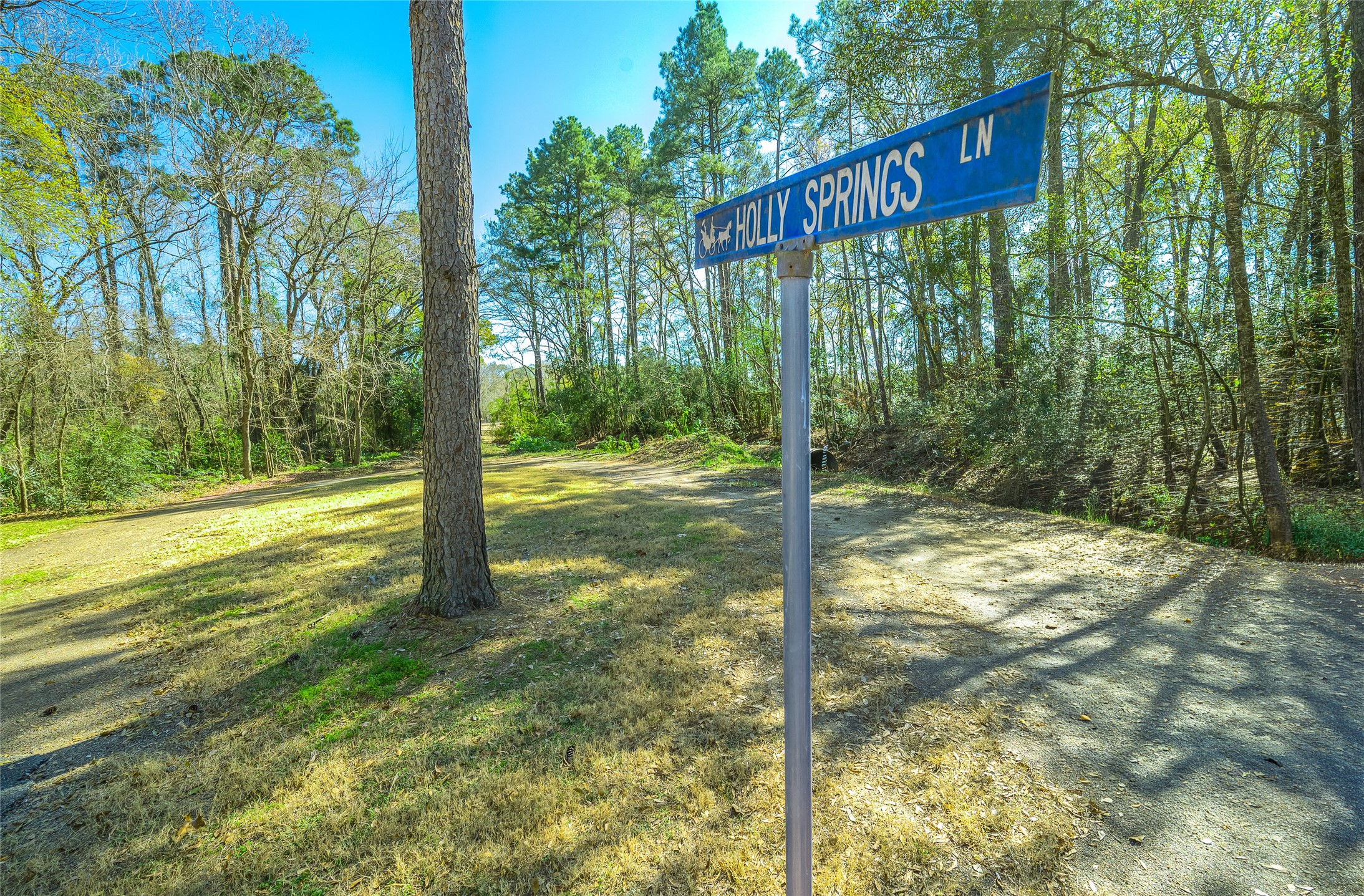26 Holly Springs Drive Conroe, TX 77302 - Photo 7 of 32 a view of a street with a yard and trees