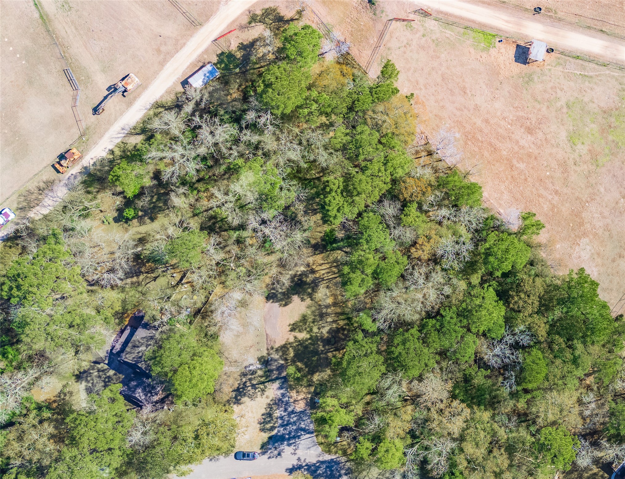 26 Holly Springs Drive Conroe, TX 77302 - Photo 9 of 32