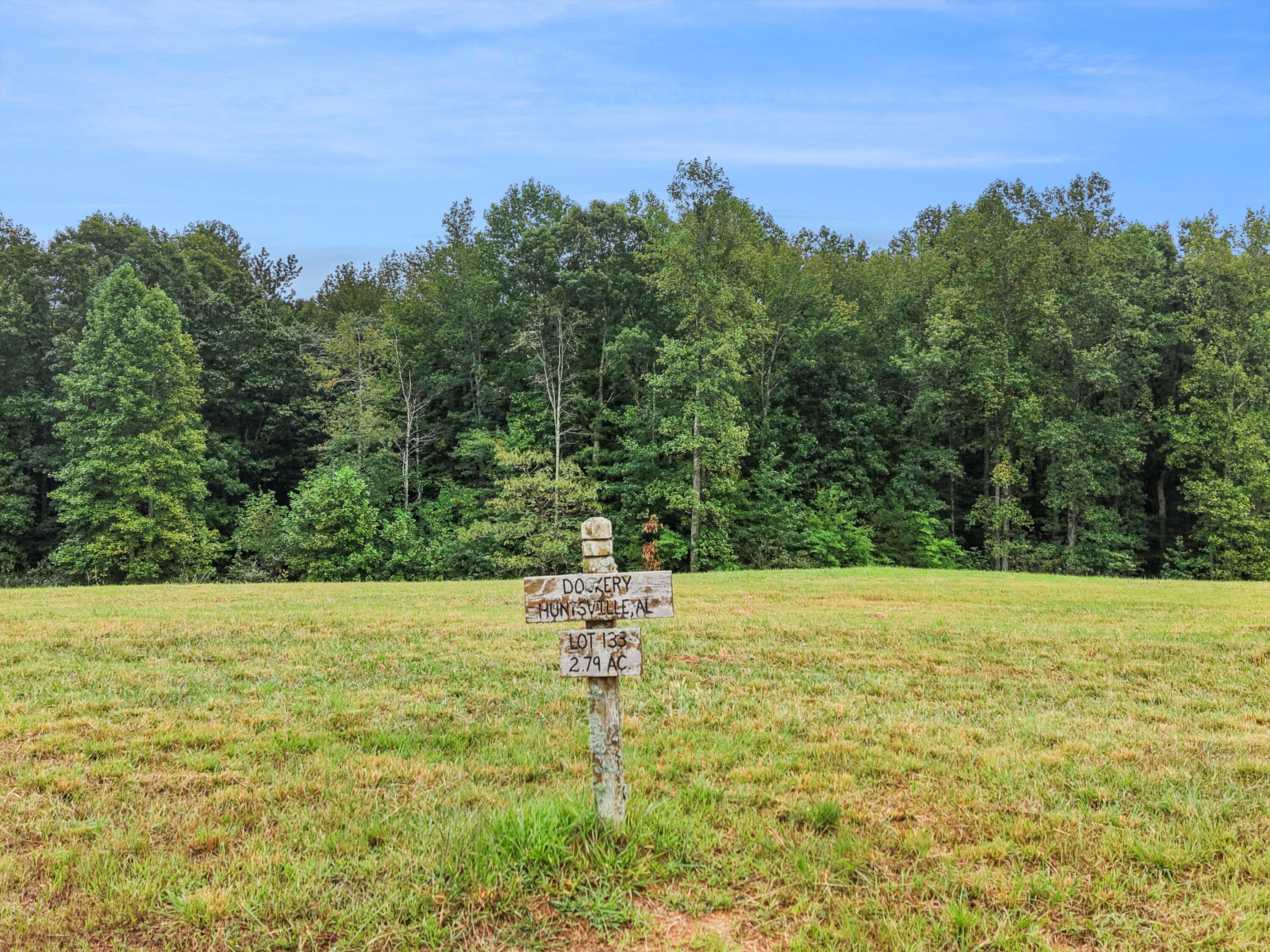 0 Raulston Falls Drive, Unit 133 Jasper, TN 37347 - Photo 12 of 19 12-DJI_20250924095603_0003_D