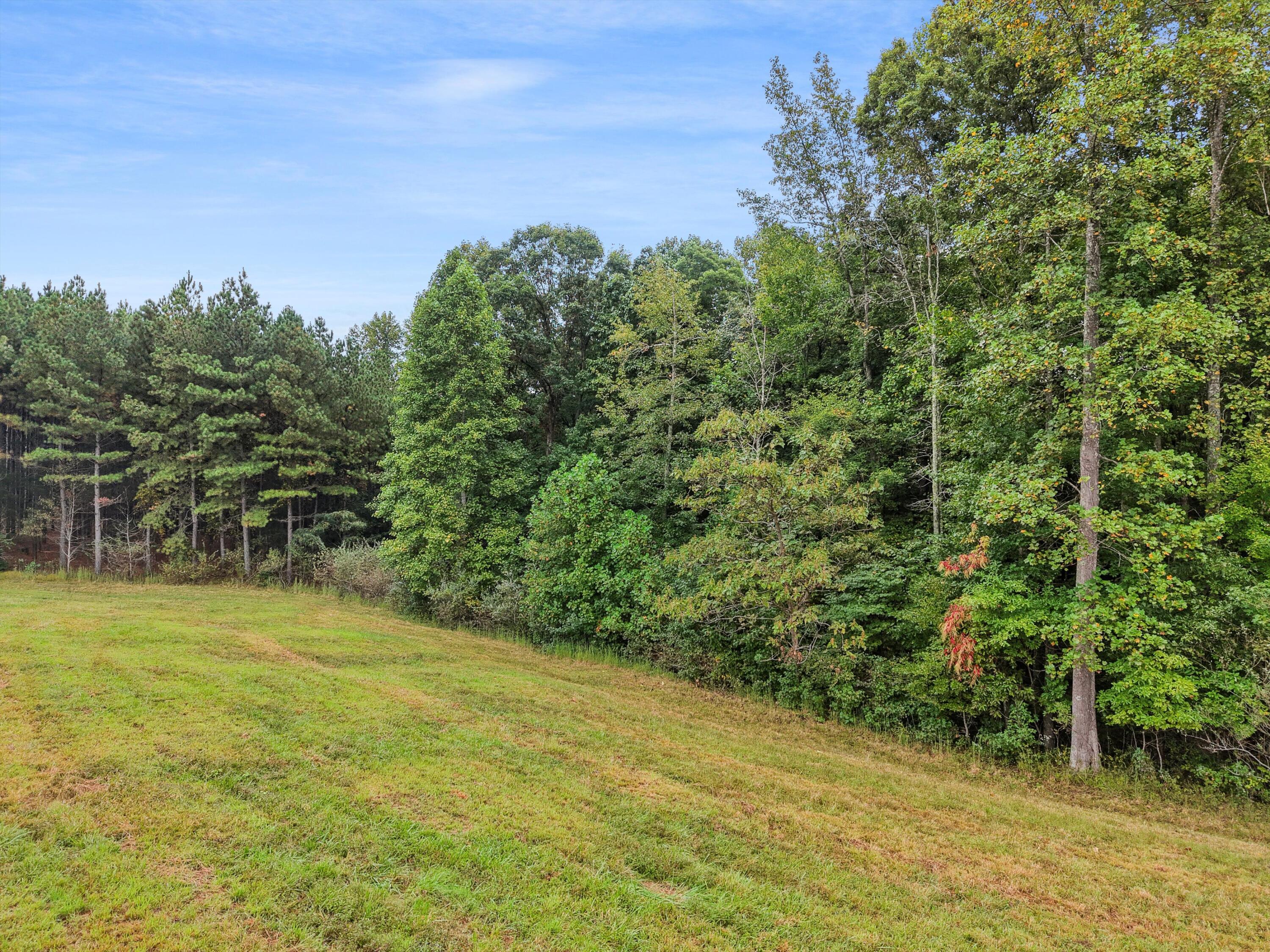 0 Raulston Falls Drive, Unit 133 Jasper, TN 37347 - Photo 13 of 19 13-DJI_20250924100329_0088_D