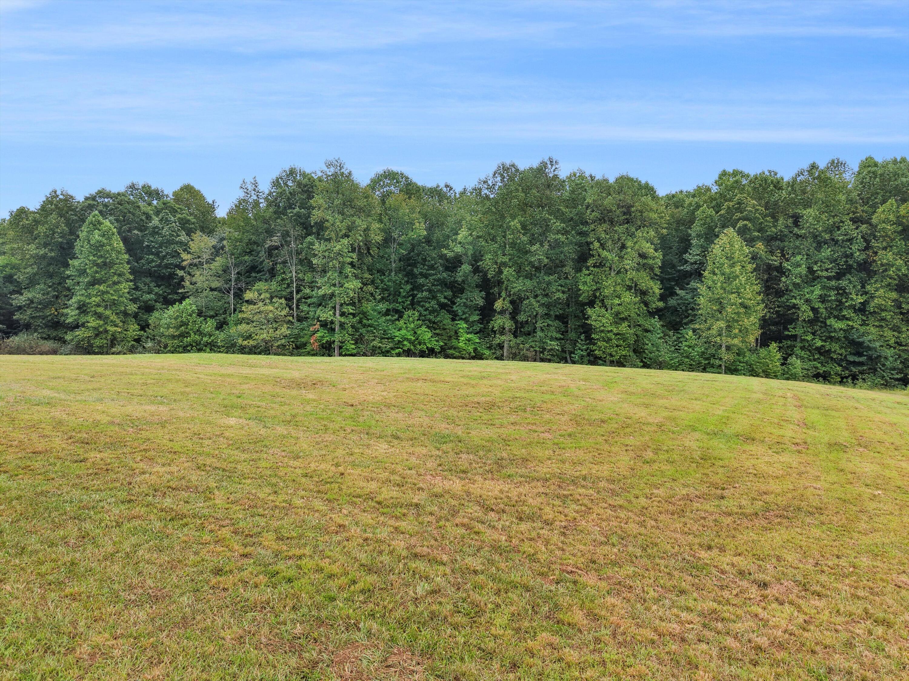 0 Raulston Falls Drive, Unit 133 Jasper, TN 37347 - Photo 16 of 19 16-DJI_20250924095644_0013_D