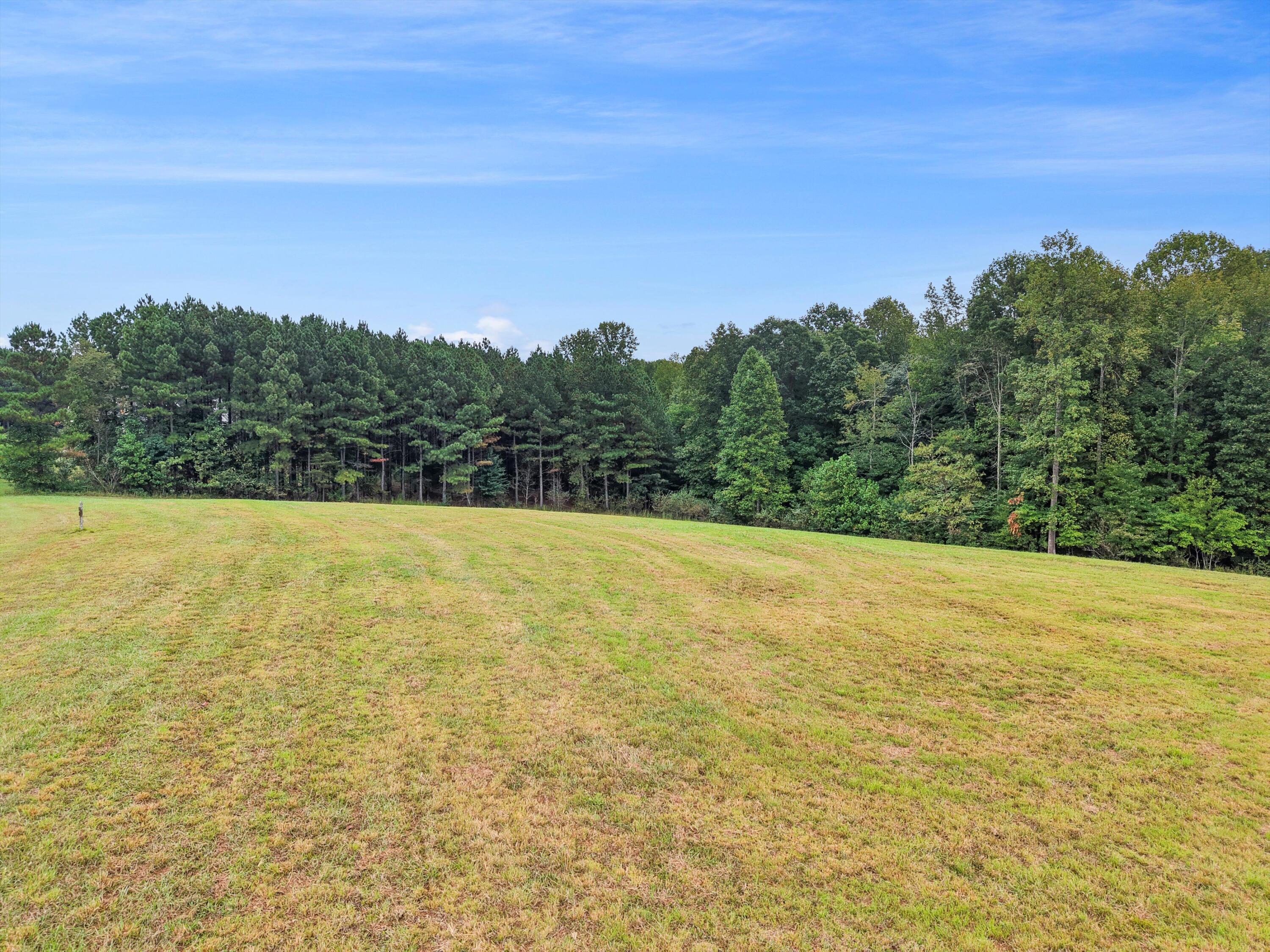 0 Raulston Falls Drive, Unit 133 Jasper, TN 37347 - Photo 19 of 19 19-DJI_20250924100313_0085_D