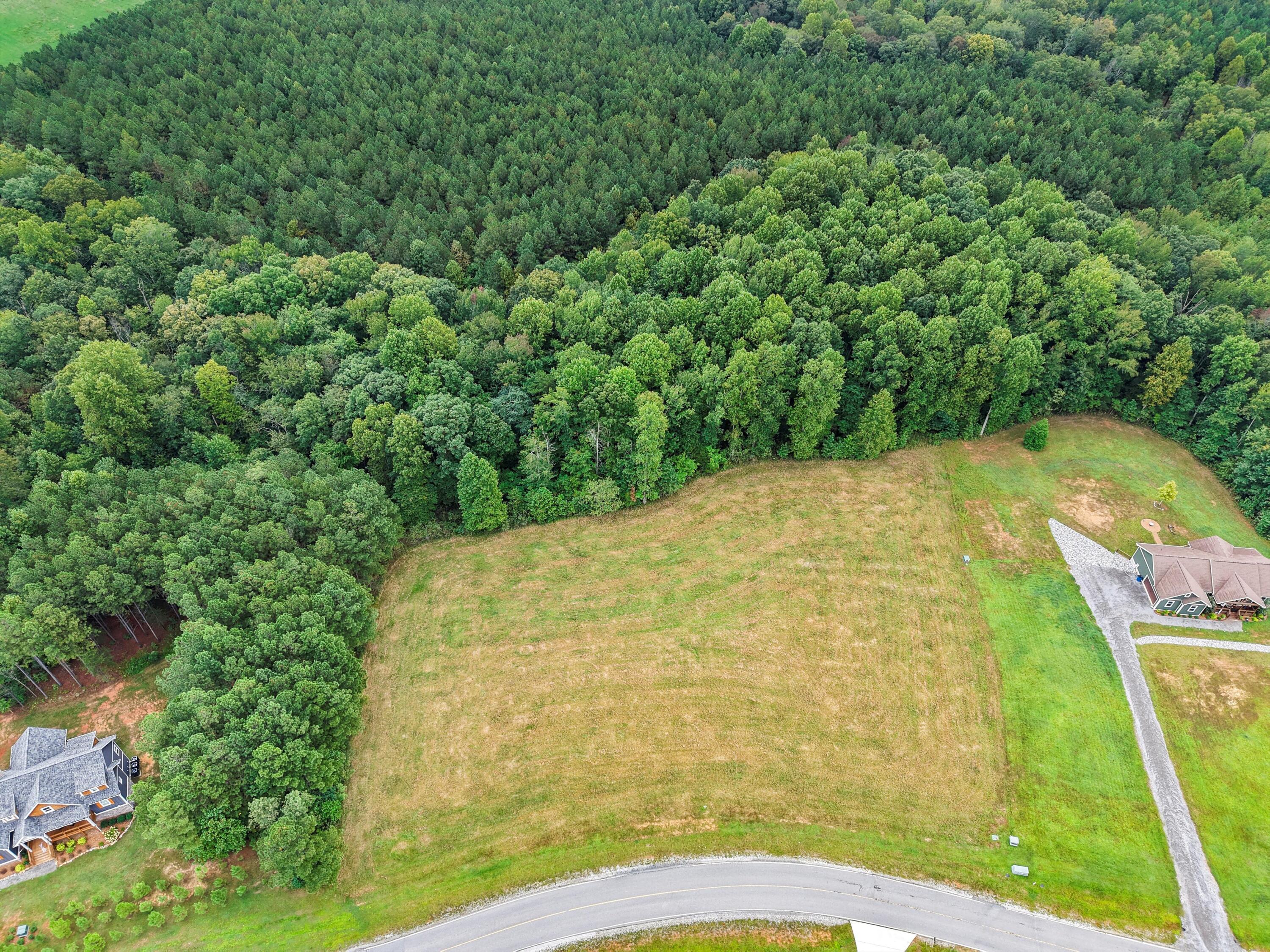 0 Raulston Falls Drive, Unit 133 Jasper, TN 37347 - Photo 4 of 19 03-DJI_20250924100133_0066_D