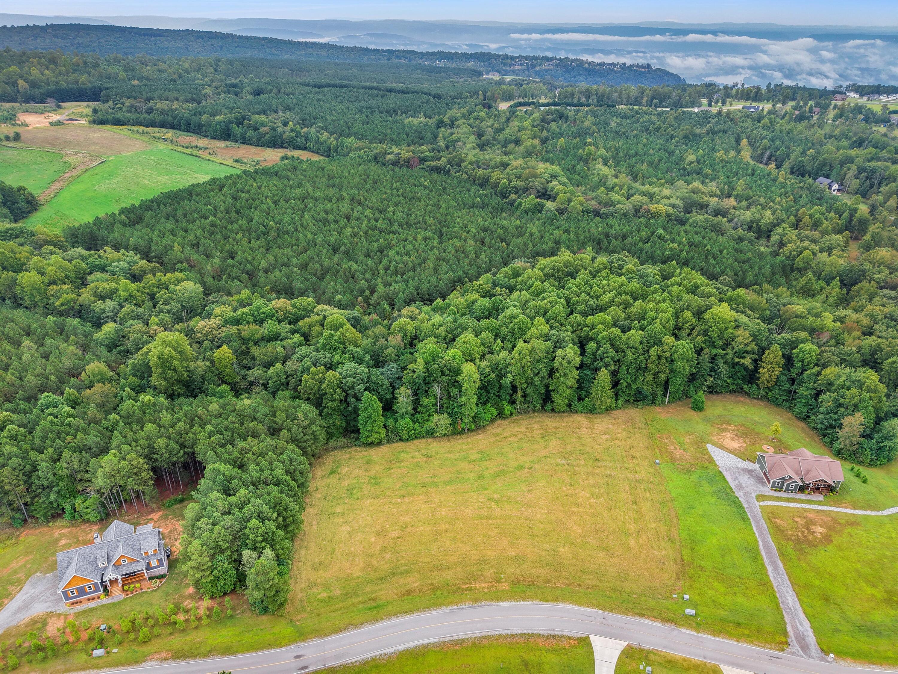 0 Raulston Falls Drive, Unit 133 Jasper, TN 37347 - Photo 5 of 19 04-DJI_20250924100112_0063_D