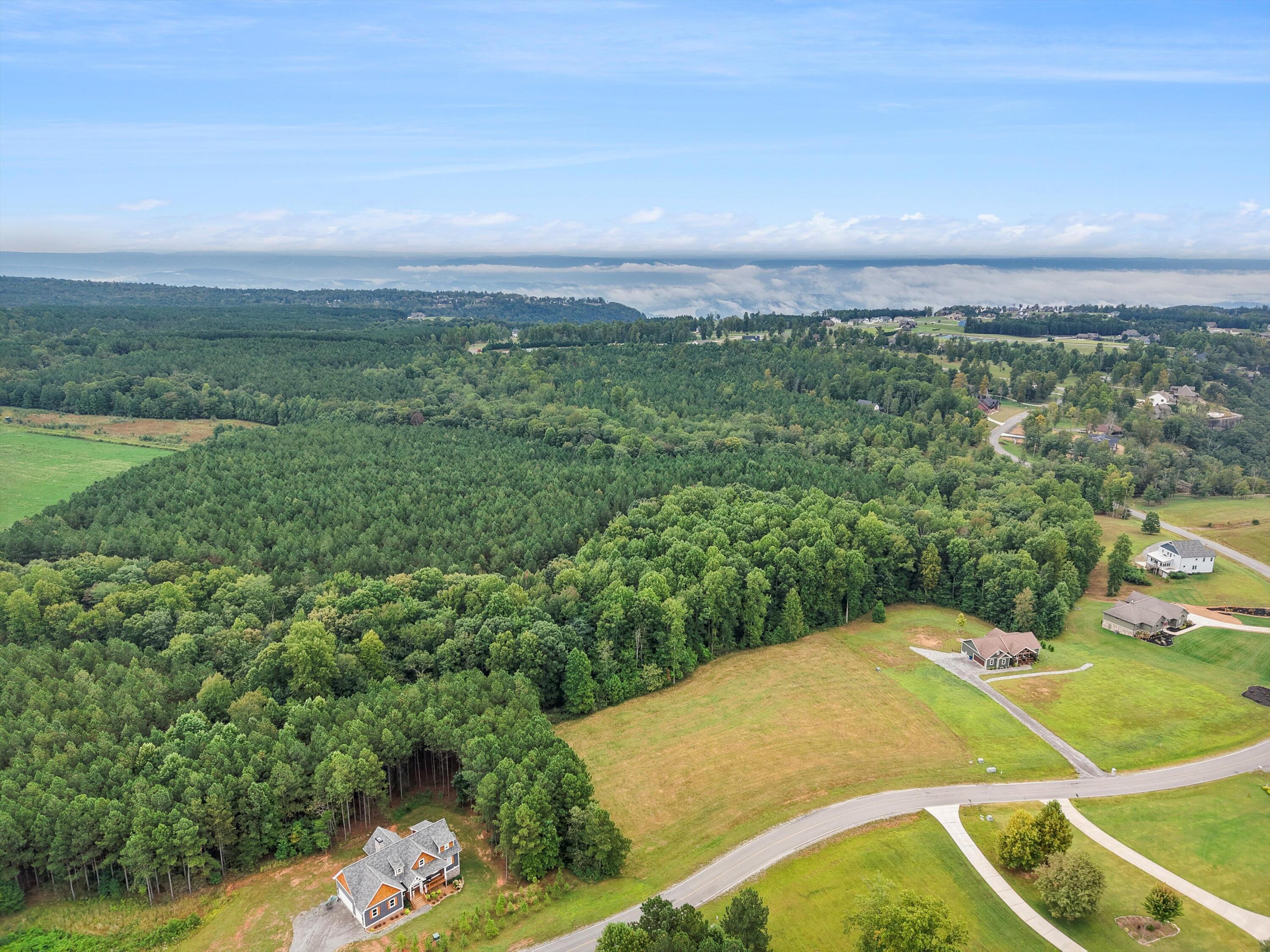 0 Raulston Falls Drive, Unit 133 Jasper, TN 37347 - Photo 6 of 19 05-DJI_20250924100054_0058_D