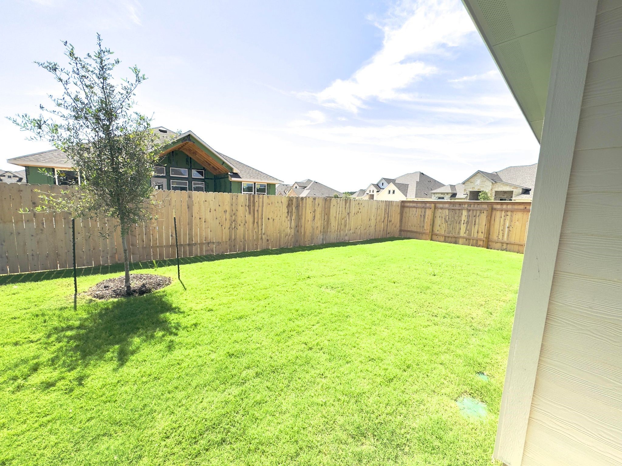 100 Cherry Sage Cove Georgetown, TX 78628 - Photo 13 of 14 a view of backyard with tub and trees in the background