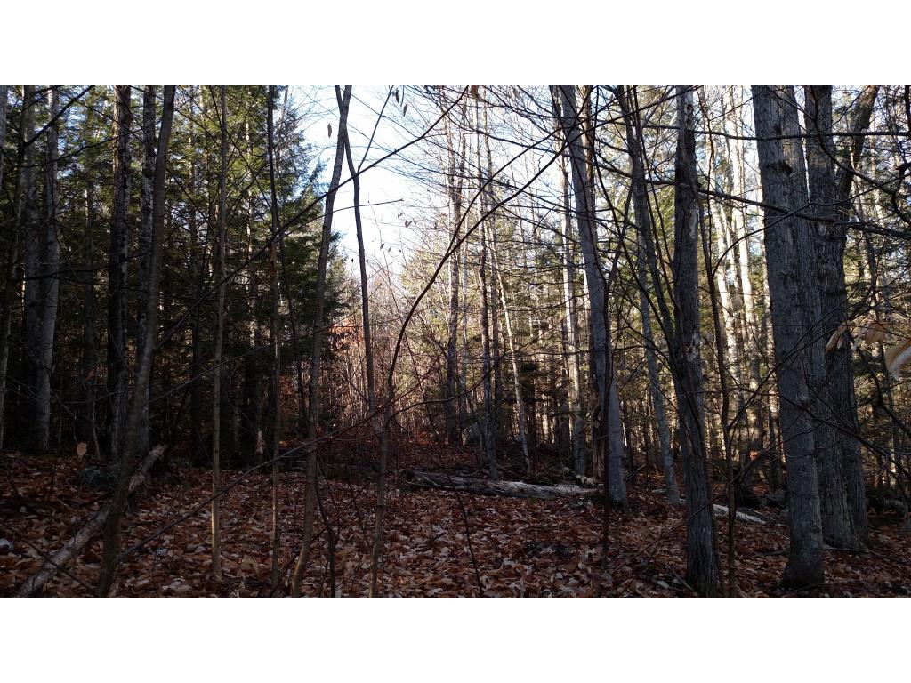 Lot #33 Cutts Road Newport, NH 03773 - Photo 11 of 12 Gallery Image 11