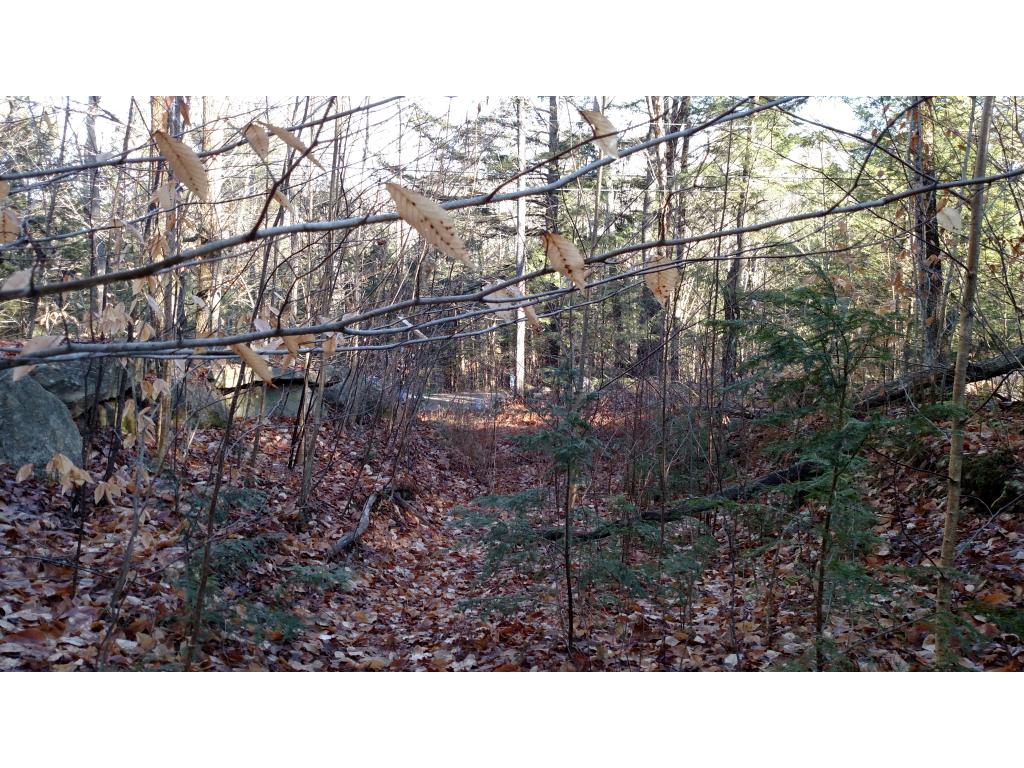 Lot #33 Cutts Road Newport, NH 03773 - Photo 6 of 12 Gallery Image 6